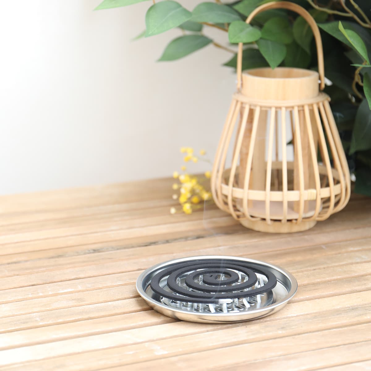 Espirales de Citronela - Vista 2