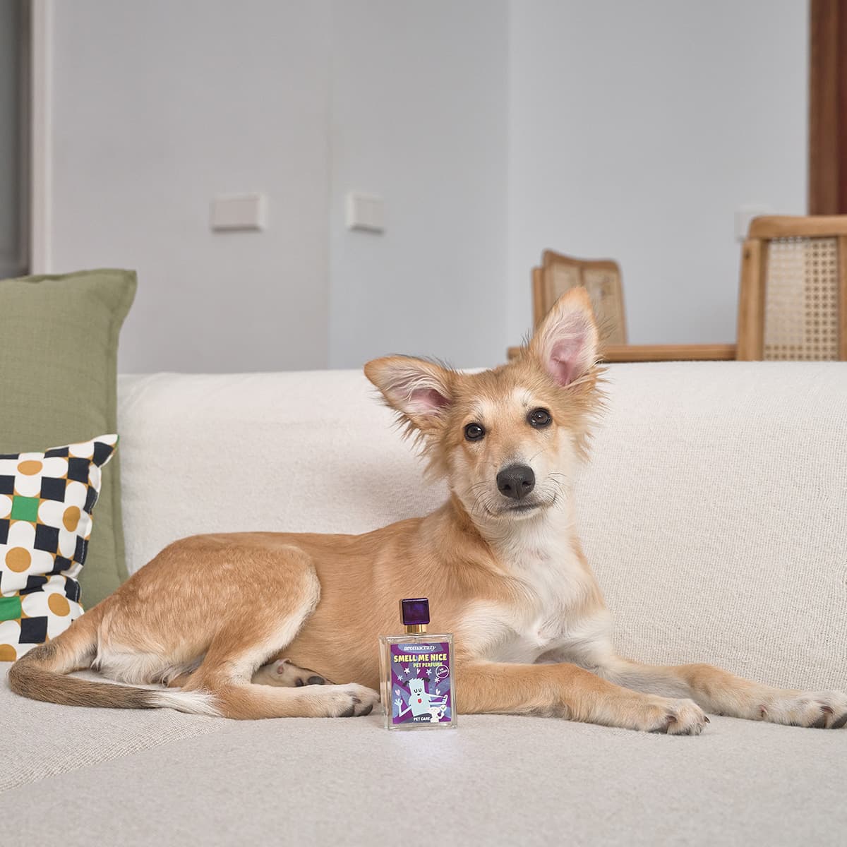 Eau de Toilette Fresh Raspberry PetCare - Vista 3