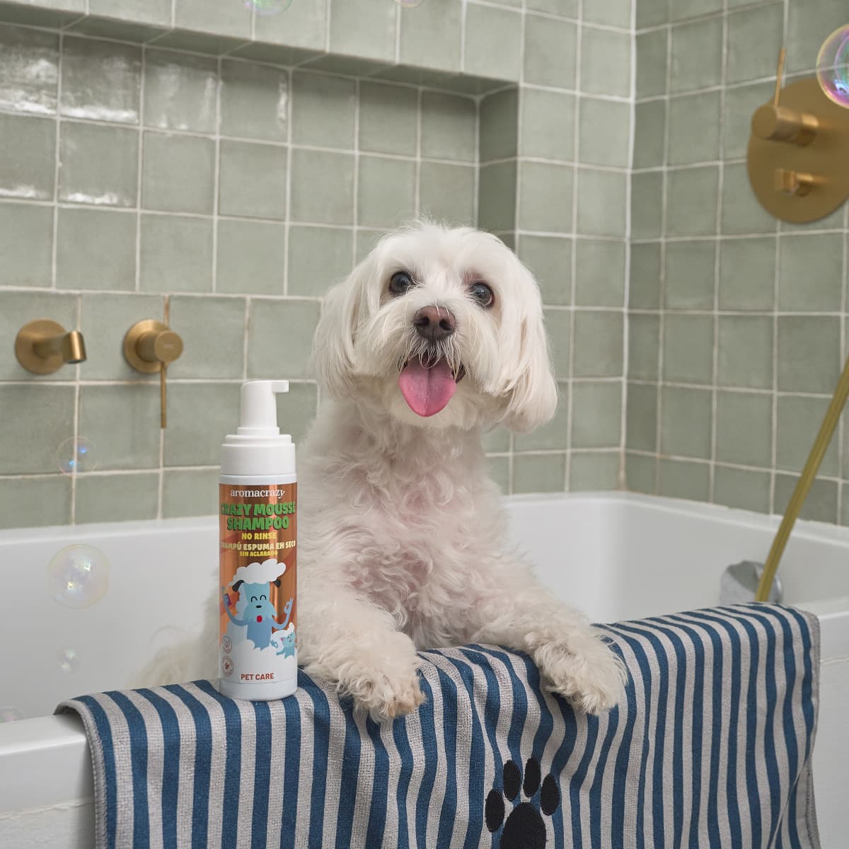 Champú Espuma en Seco Petcare 200ml - Vista 2