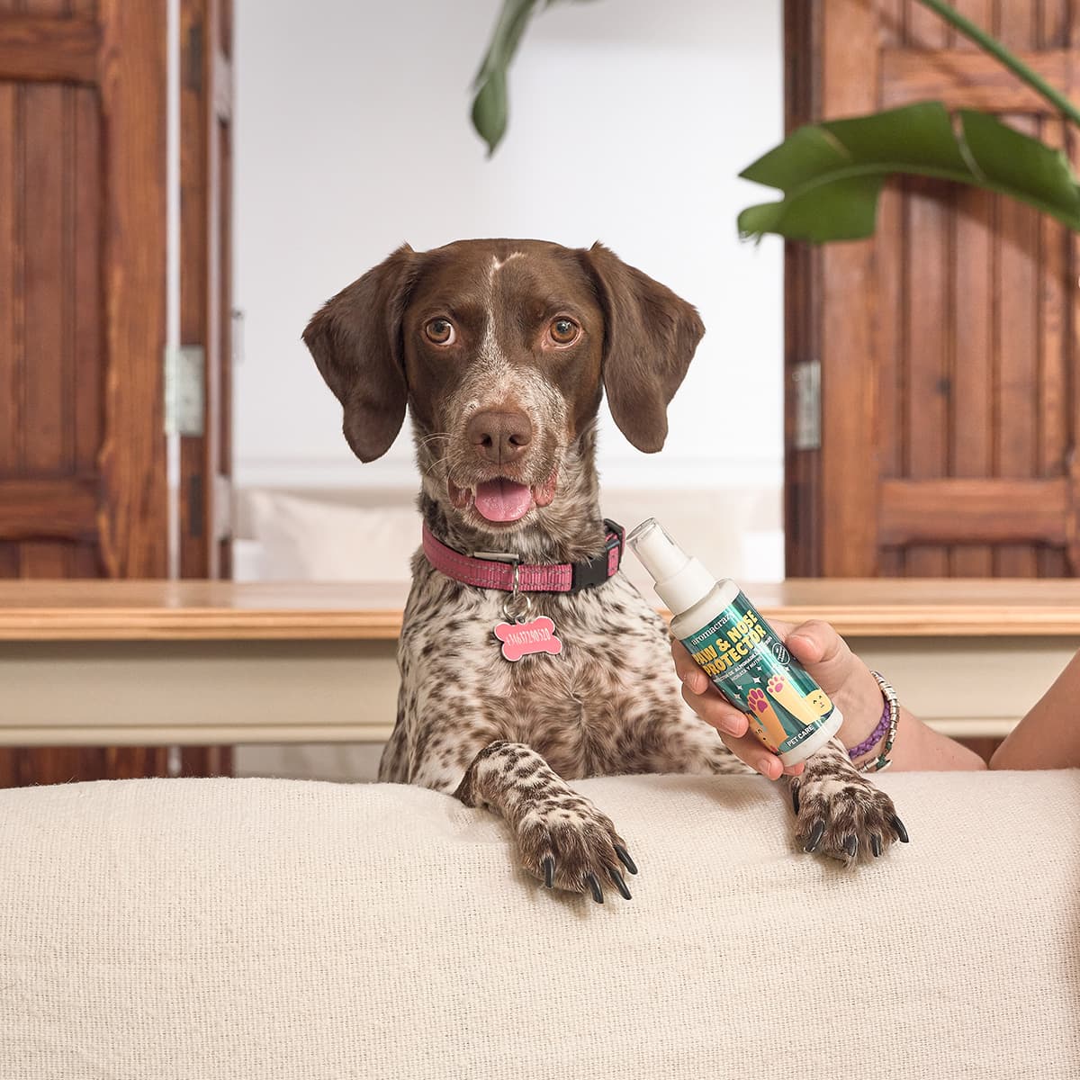 Protector Almohadillas Hocico PetCare 100ml - Vista 2